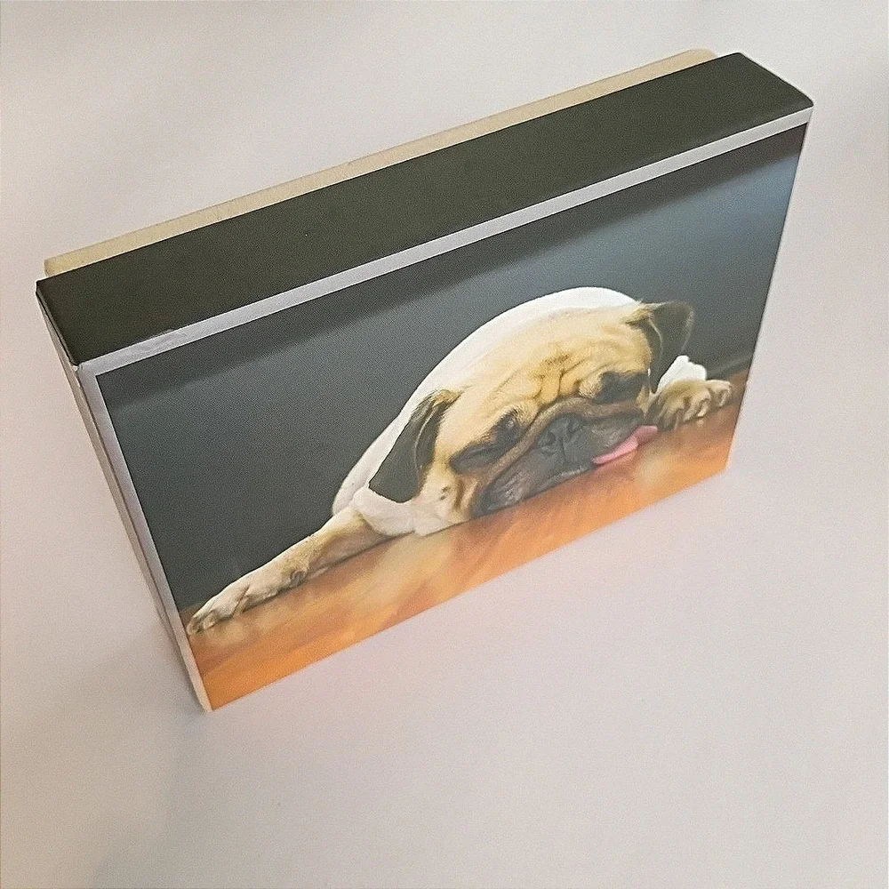 Crown Point Graphics Sleeping Pug Puppy Boxed Note Cards Set with Envelopes‎ NEW